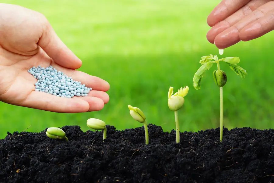 Chemical & Fertilizers